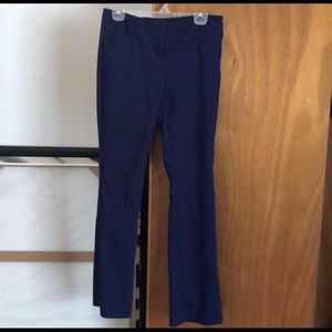 Express Columnist Dress Pants